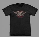 Camiseta Aerosmith Faded Wings